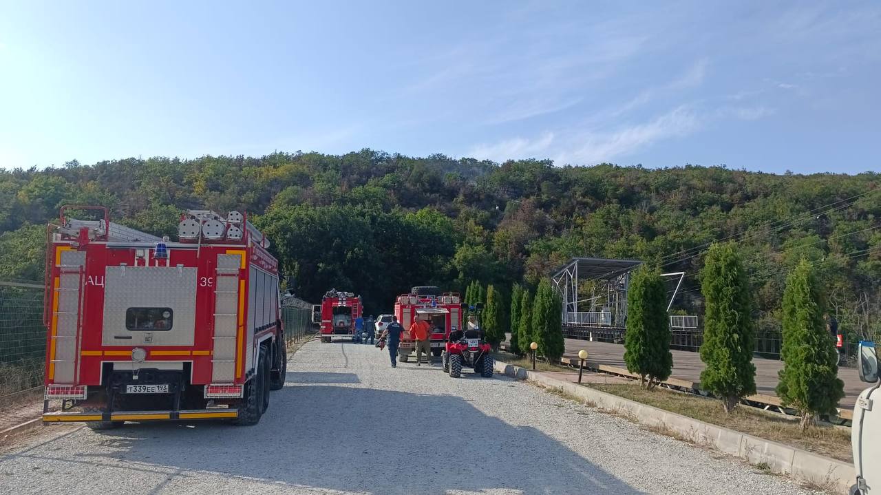 Лесной пожар полыхает в лесу под Анапой